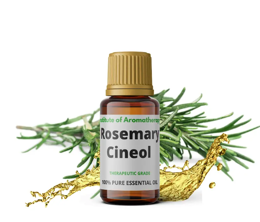 Olejek eteryczny ROZMARYNOWY typ cineolowy - poprawia pamięć i stymuluje porost włosów