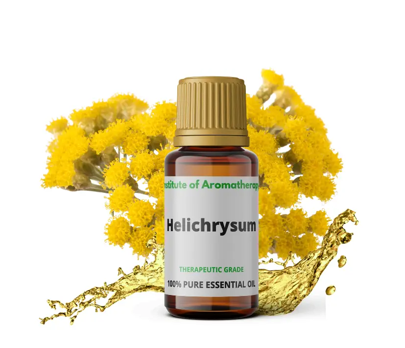Olejek eteryczny kocankowy HELICHRYSUM z kocanki włoskiej organiczny - stany zapalne skóry