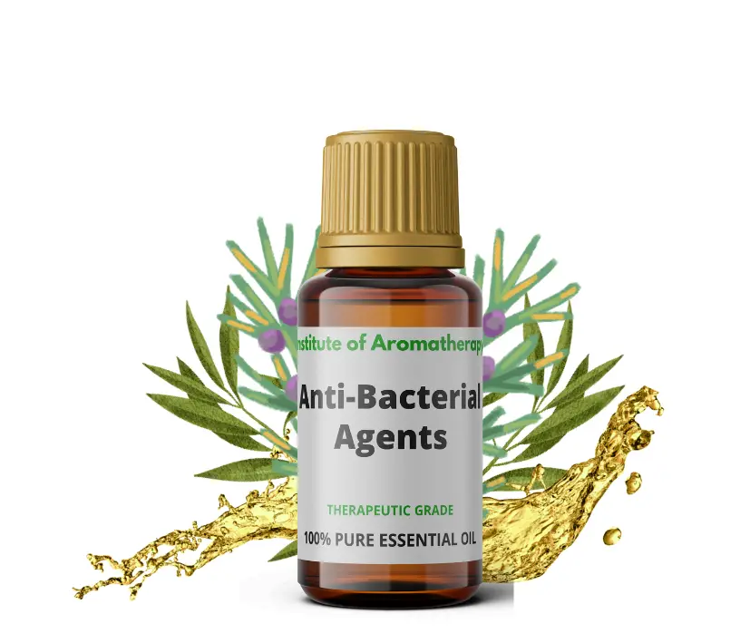 ANTY-BACTERIAL AGENTS - mieszanka bakteriobójczych olejków terapeutycznych stosowanych w infekcjach