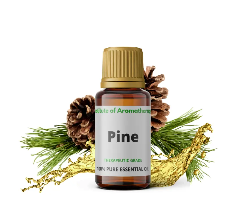 Olejek eteryczny SOSNOWY PINIOWY organiczny - drogi oddechowe, astma, oskrzele