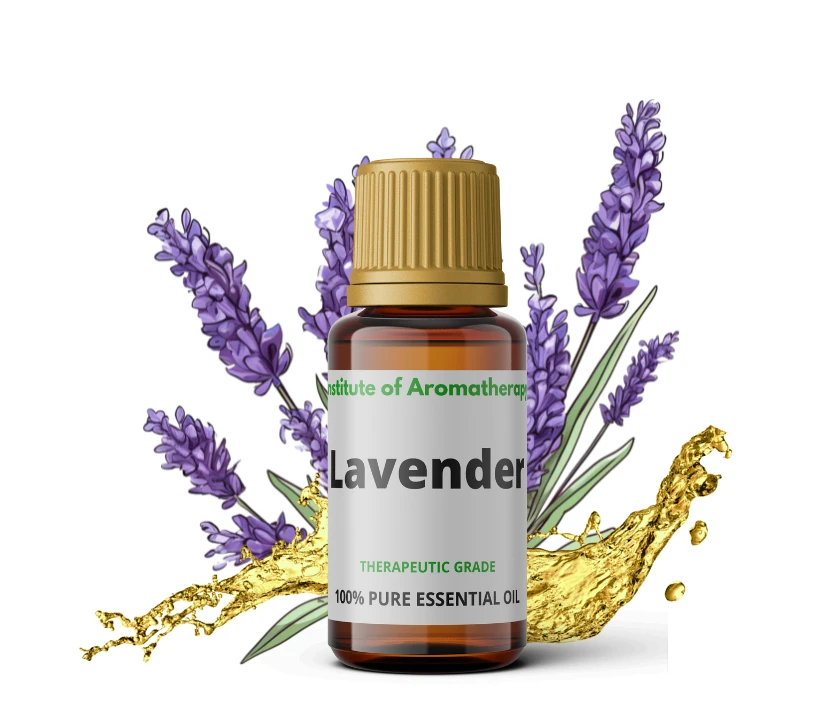 Olejek eteryczny LAWENDOWY, Lawenda - na bóle głowy